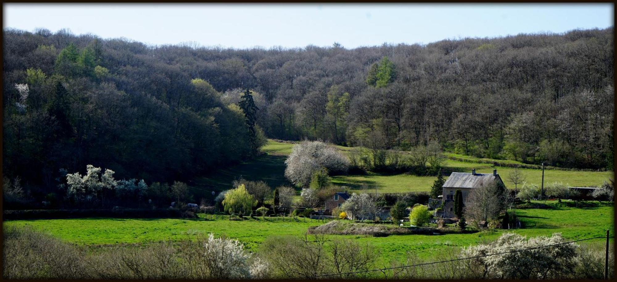 Roulotte Maisonthiers *