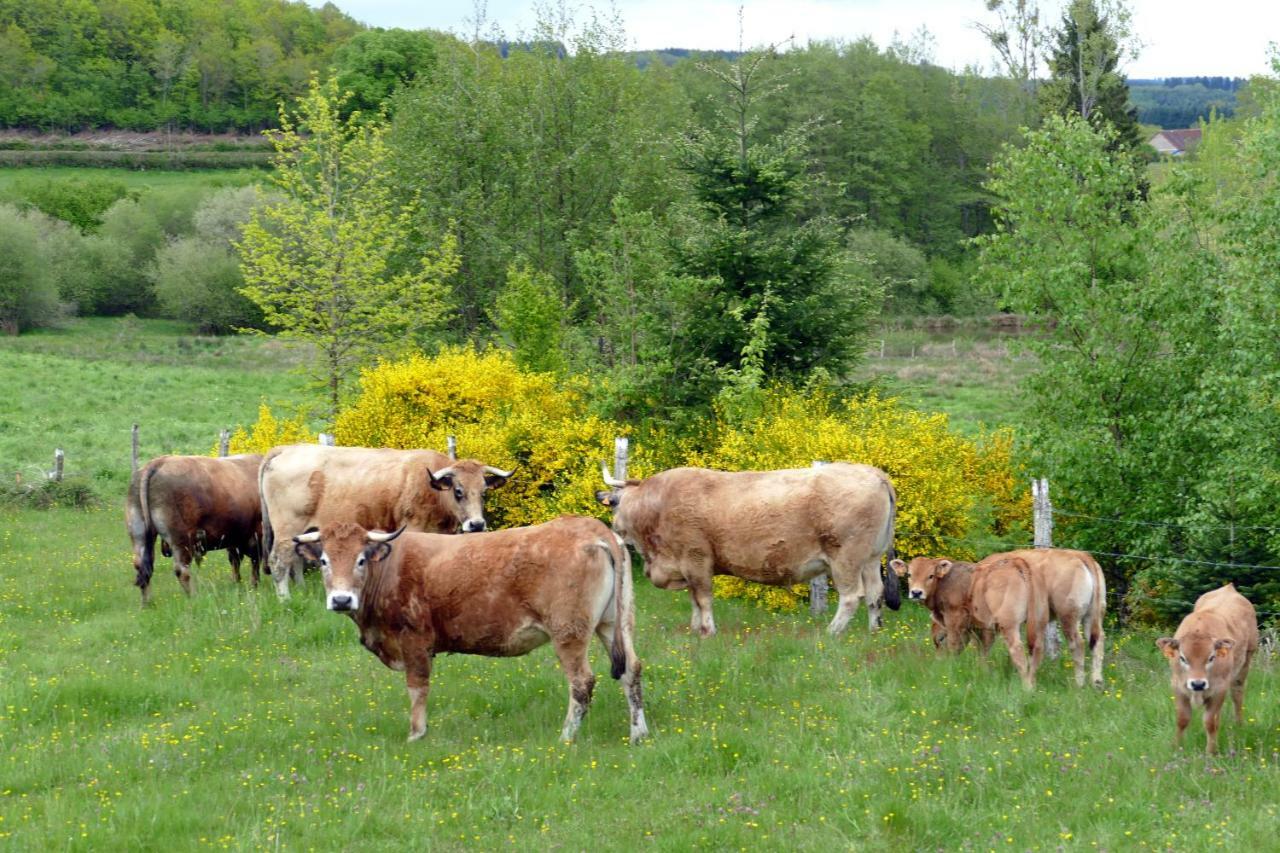 Roulotte Maisonthiers Blanot (Cote-d'Or)